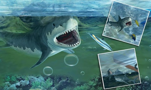 Download Angry Sea White Shark Revenge